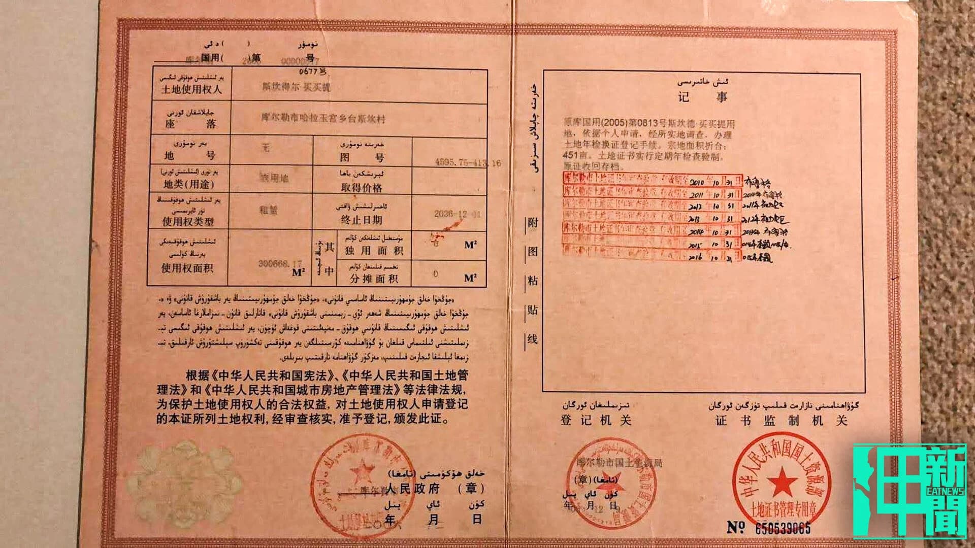 圖片提供：斯坎得爾·買買提