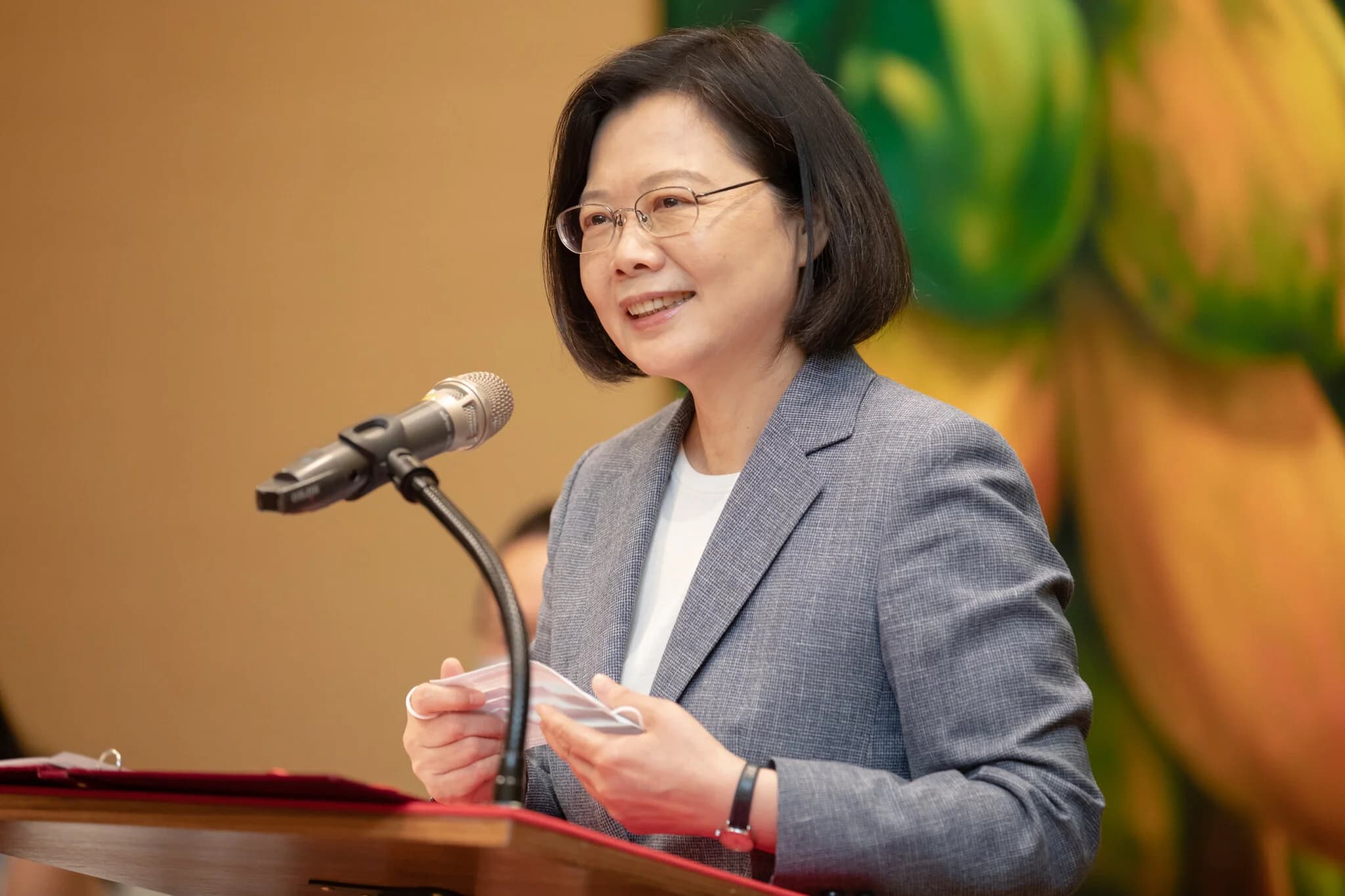 俗辣！ 10年前叫囂馬英九辯ECFA 今江啟臣籲辯萊豬......蔡英文龜縮：回歸立院討論